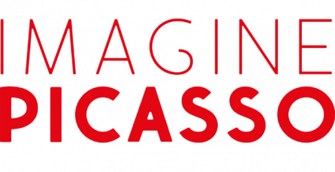IMAGINE PICASSO LOGO directors SP